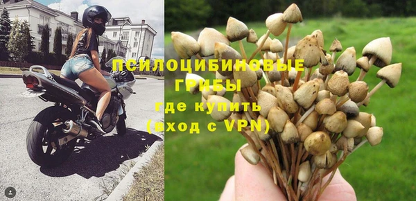 амф Карталы