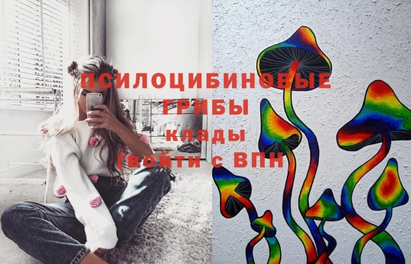 первитин Касимов