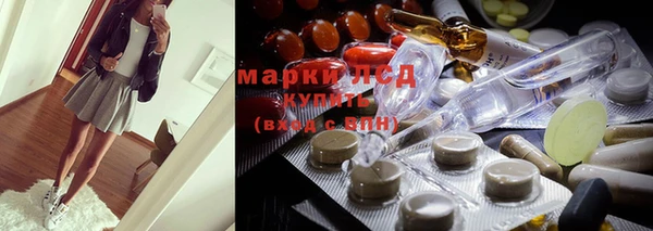 дурь Карпинск