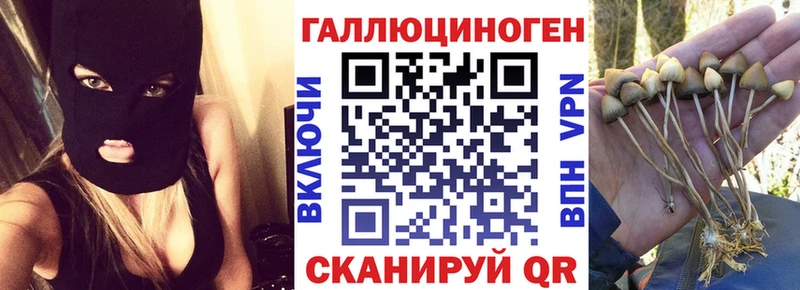 Купить где  Карталы  Галлюциногенные грибы Magic Shrooms 